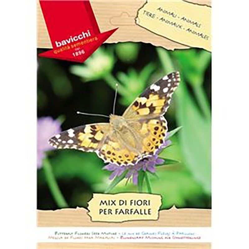MÉLANGE DE GRAINES DE FLEURS POUR PAPILLONS MÉLANGE DE GRAINES DE FLEURS POUR PAPILLONS
