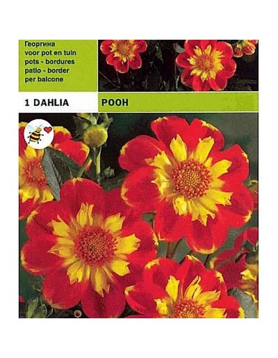 Dahlia krage puh