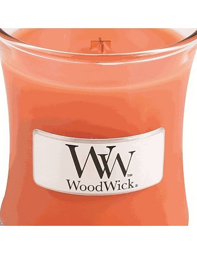 Woodwick Kerze Mini Träumetagtraum