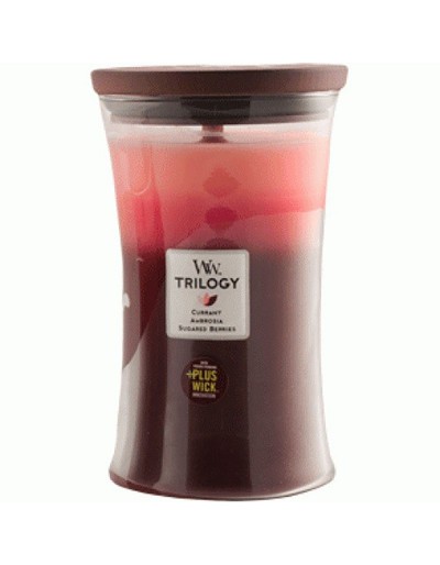 Woodwick candle trilogy maxi fruit tent