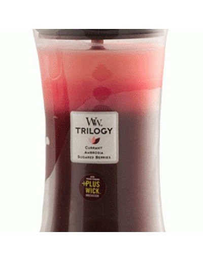 Woodwick candle trilogy maxi fruit temptation