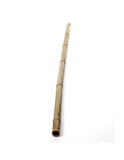 Bamboo cane 3 m