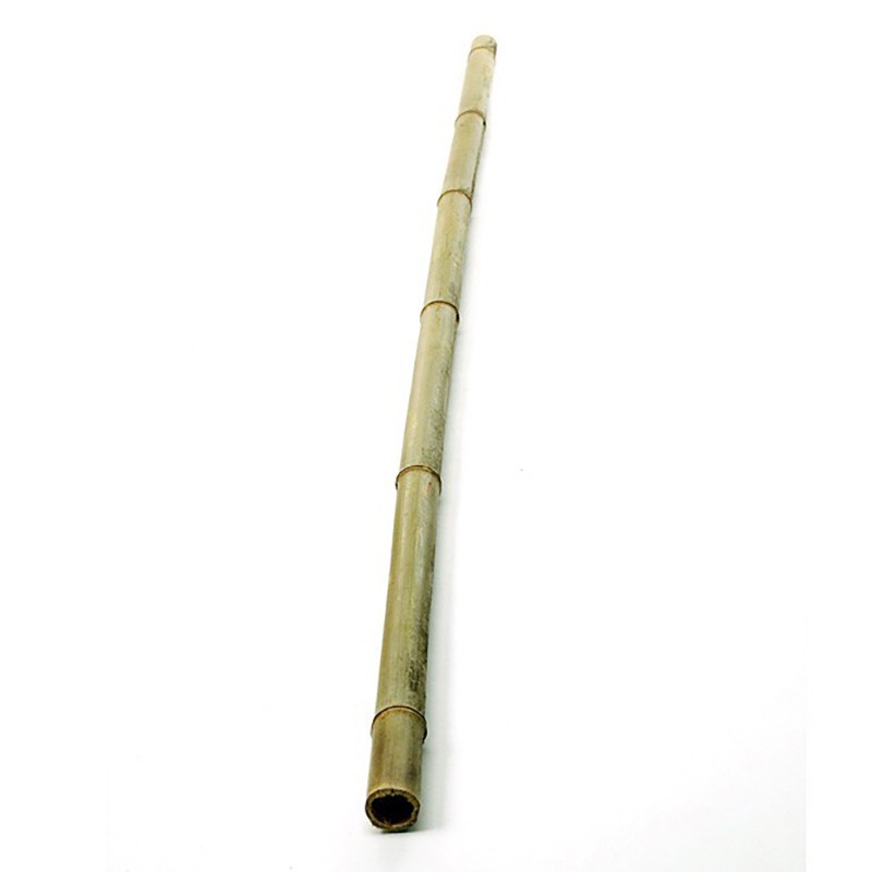 Bambu käpp 2 m