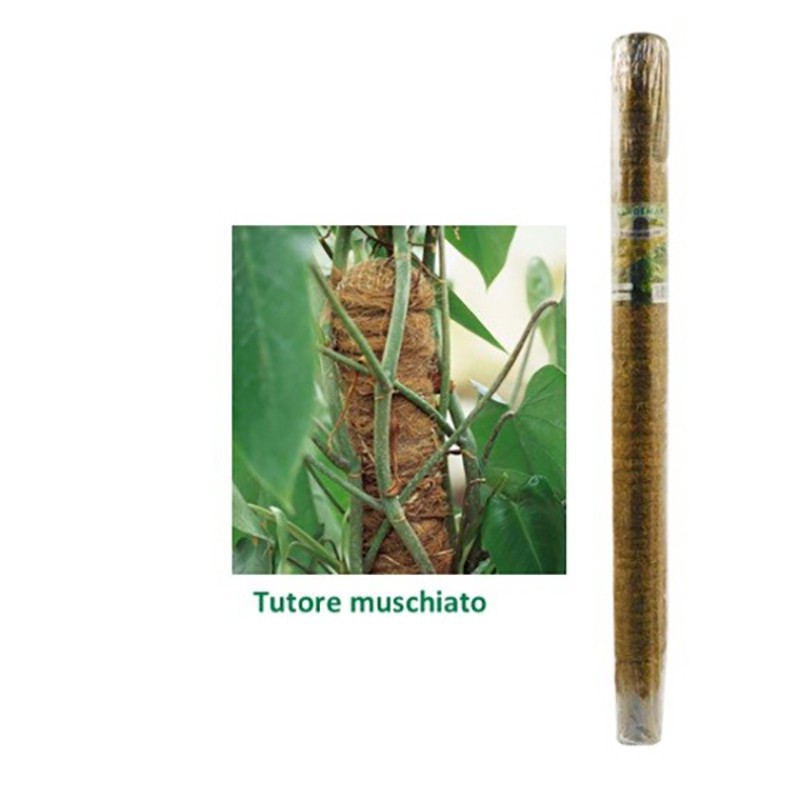 MUSKY TUTOR D50 H100CM