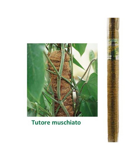 MUSK TUTOR D50 H100CM