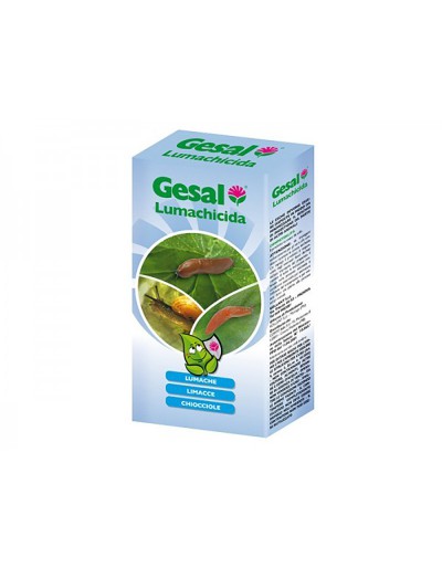 Leschicídio gesal