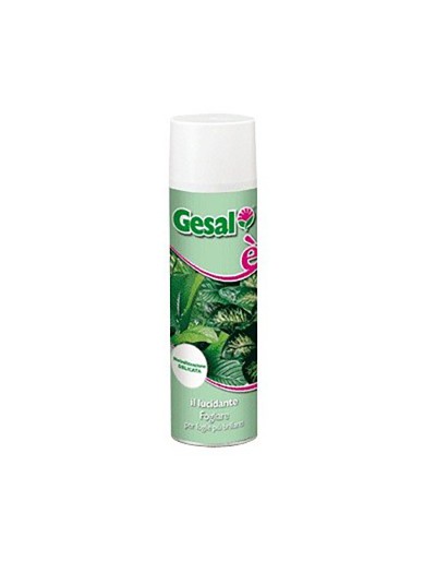 Spray de polissage de lumière de Gesal