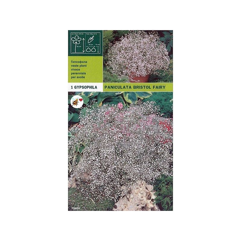 Żarówki gypsophyla paniculata bristol bajki 1 żarówka