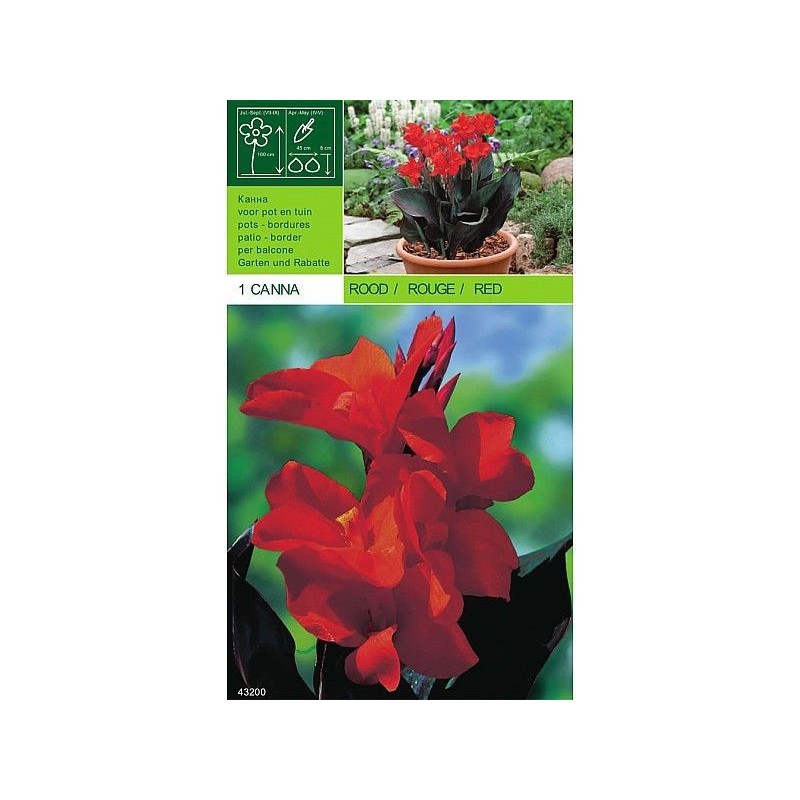 Roter Rohr 1 Glühbirne Roter Rohr 1 Glühbirne