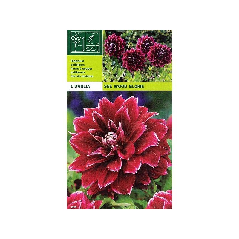 Dahlia decorativa ver gloria de la madera 1 bombilla