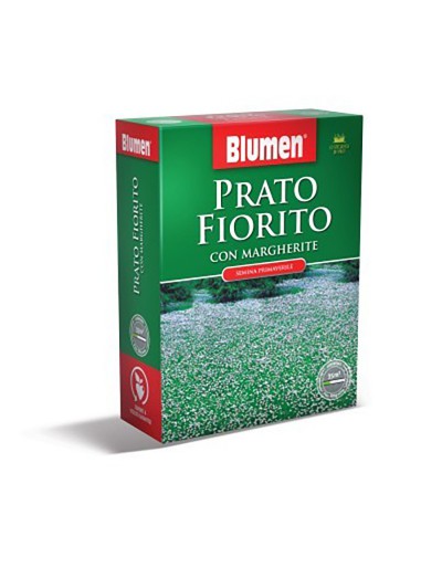 Margaridas de flores de gramado bluemen 200g