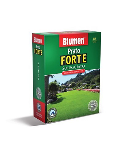 Pelouse ensoleillée blumen 500 gr