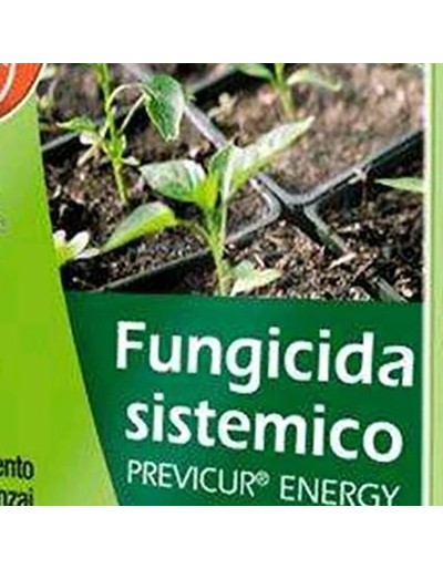 Bayer previcur energy systemic fungicide
