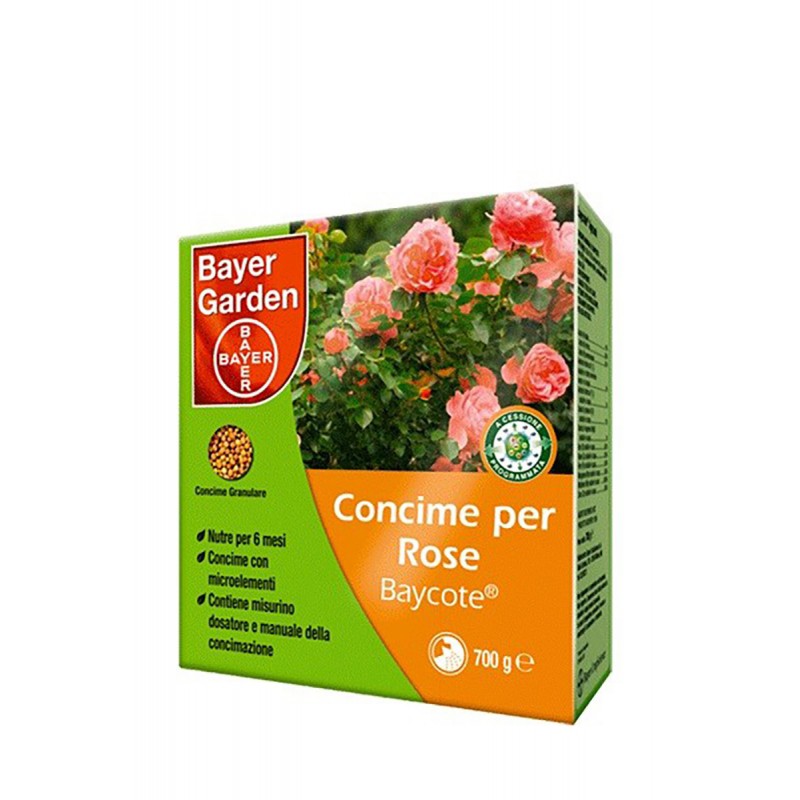 Rosas de fertilizante granular da Bayer baycote