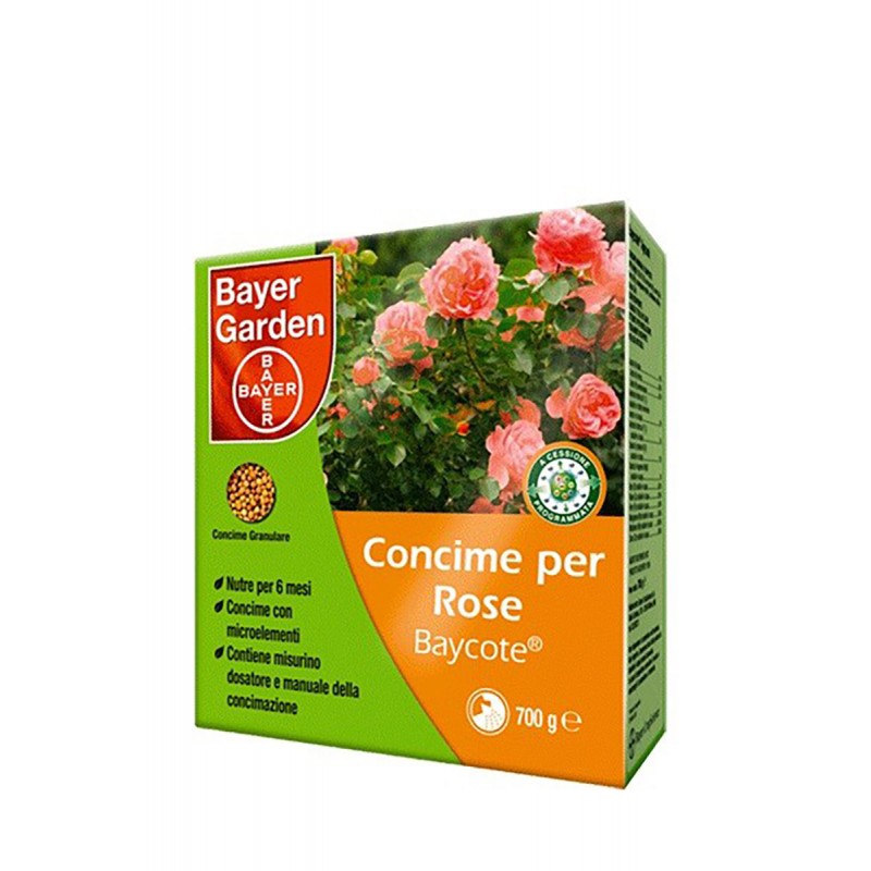 Rosas de fertilizante granular da Bayer baycote
