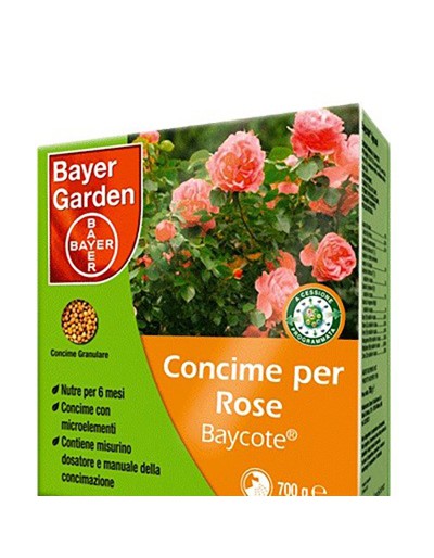 Rosas de fertilizante granular de baycote Bayer