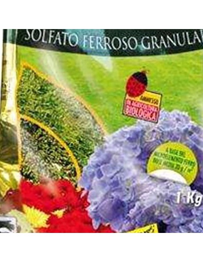 SOLFATO FERROSO GRANULARE 1 kg