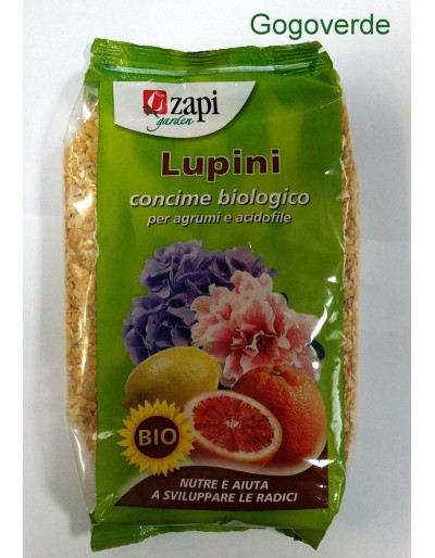 NUTRILIFE LUPINI BIO 1 kg se traduce como "NUTRILIFE LUPINI BIO 1 kg" en español.