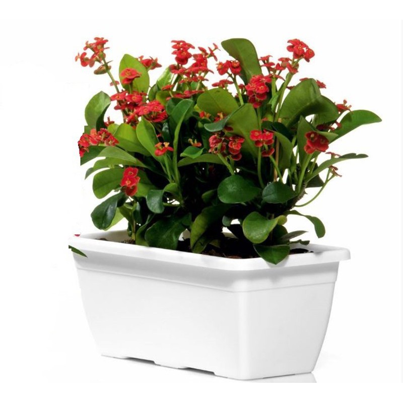 Boîte Naxos 60 cm BLANC Boîte Naxos 60 cm BLANC