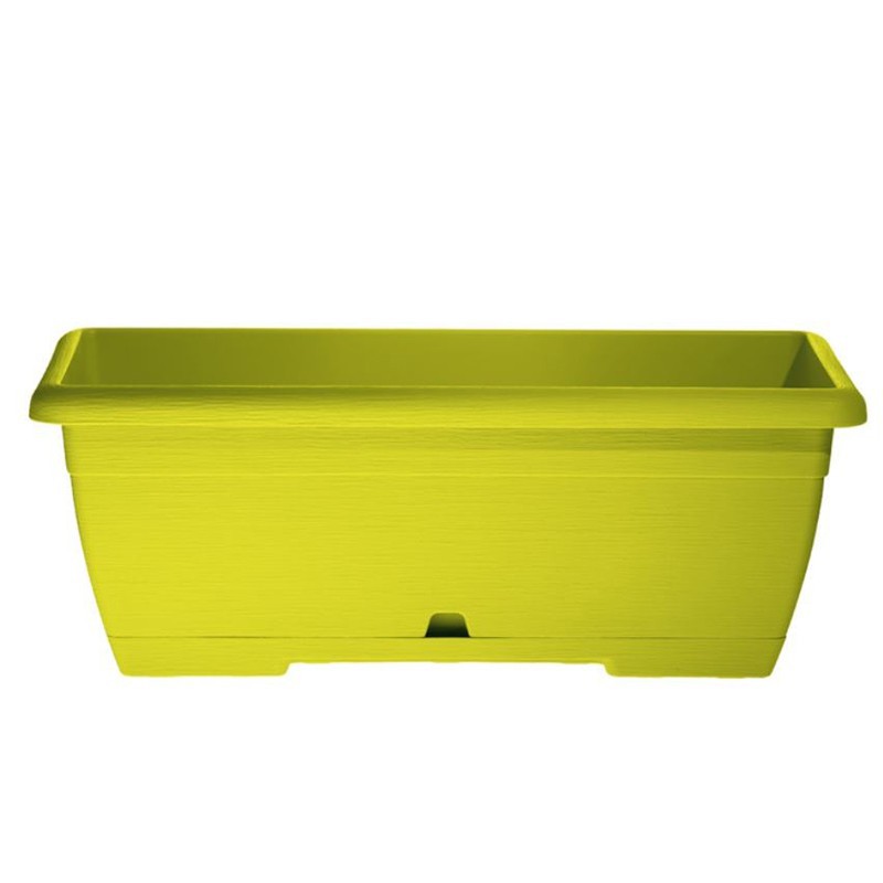 OASI MINI CASSETTA 25 cm LIME avec sous-cassette OASI MINI CASSETTA 25 cm LIME avec sous-cassette