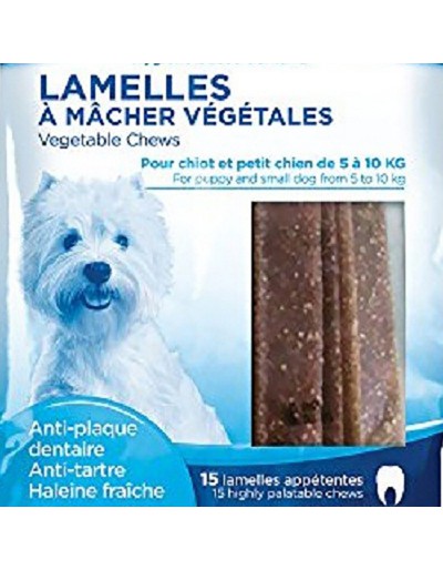 Zolux snack dental cão de higiene pequena
