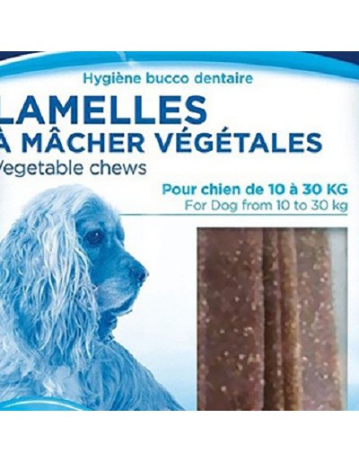 Zolux dental higiene perro snacks Tamaño mediano