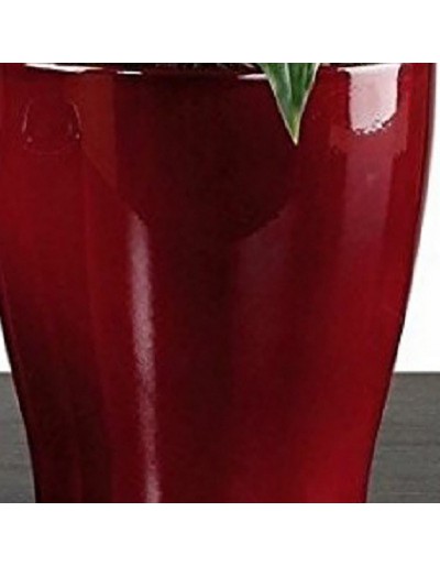 Scheurich Planter 608/17 de color rojo oscuro