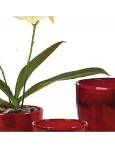 Pot de fleurs Marbre rouge 19cm