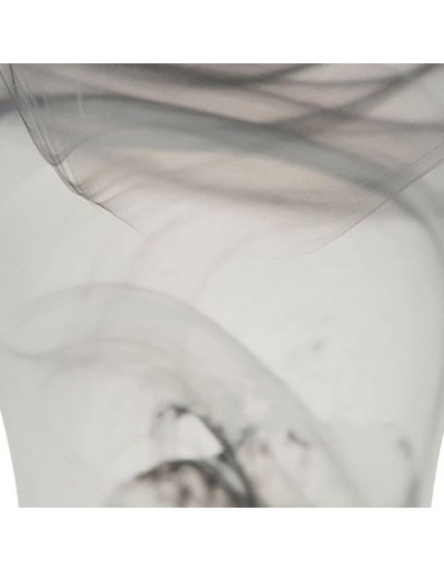 Pote de vidro de Orquídea Scheurich Night Twirl