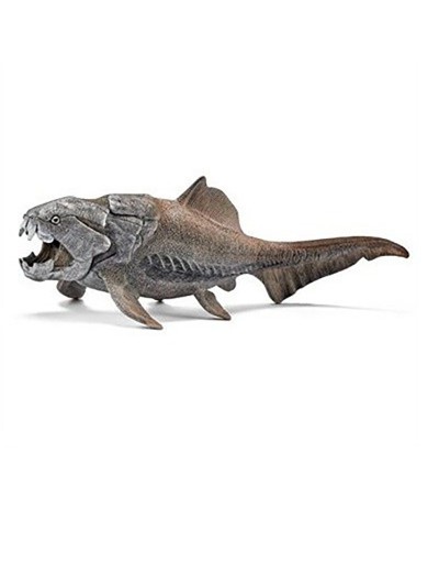 DUNKLEOSTEUS, NEW1005445