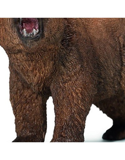 MASCHIO DI ORSO GRIZZLY