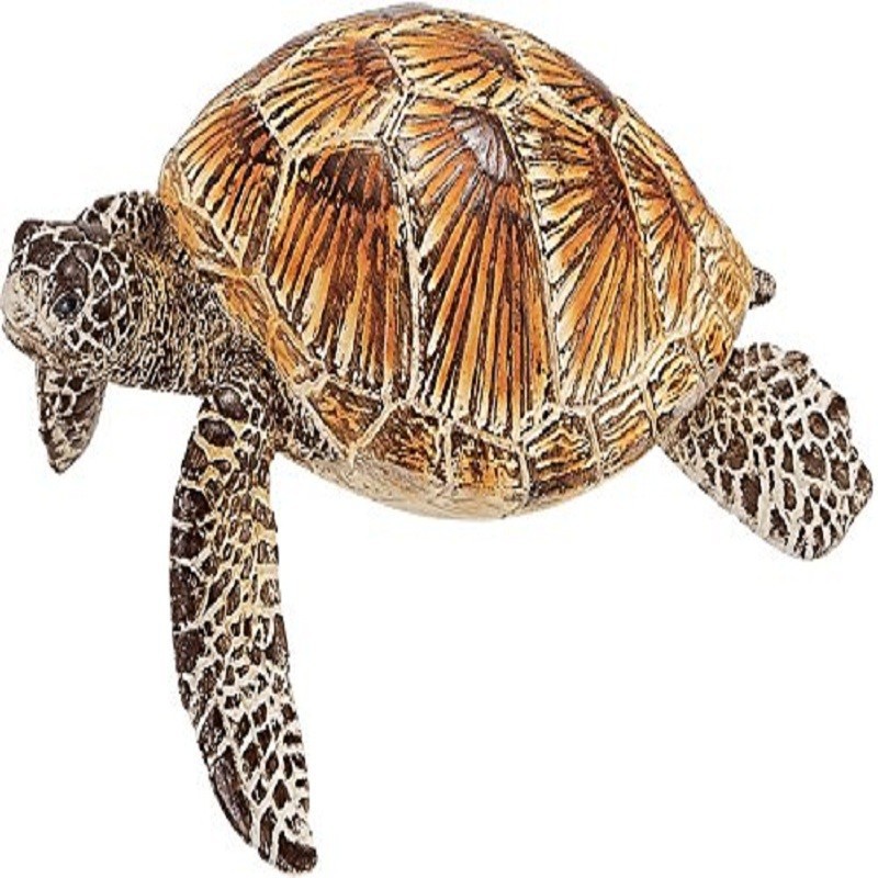 SEA TURTLE