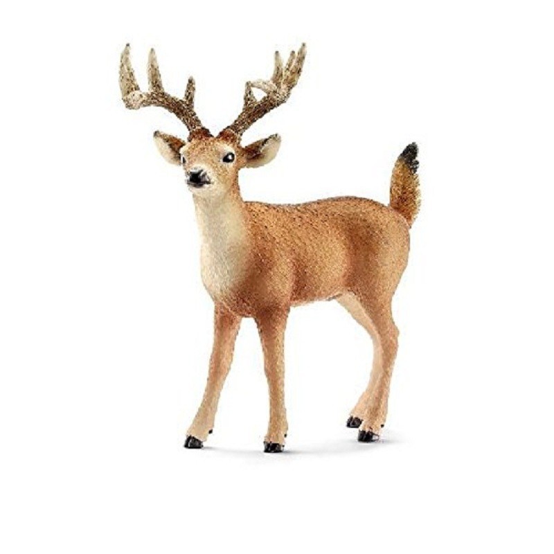 VIRGINIAN DEER