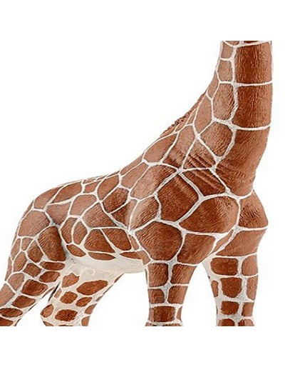 WEIBLICHE GIRAFFE