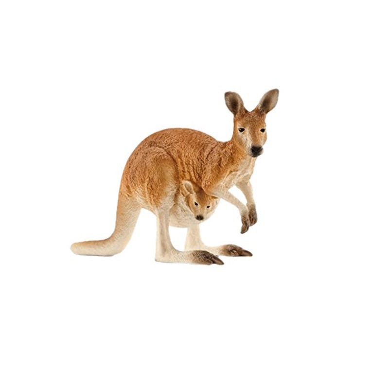 Kangaroo