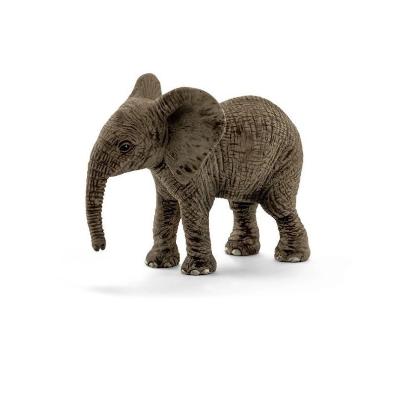 AFRICAN ELEPHANT CUB