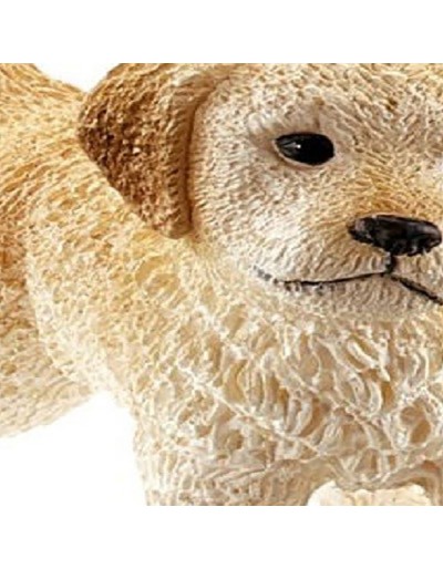 CUCCIOLO DI GOLDEN RETRIEVER
