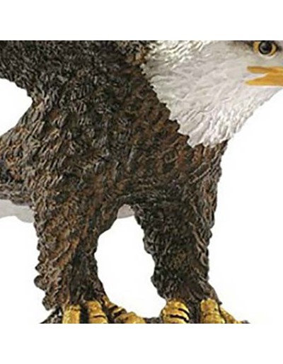 White bald eagle pawn