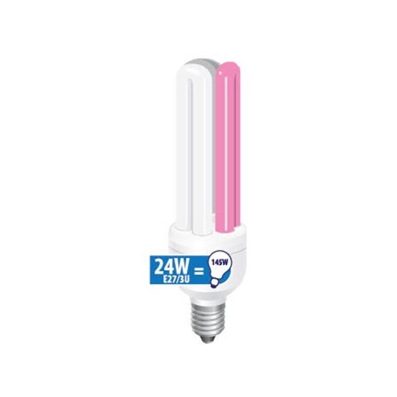 HAQUOSS PHYTOWHITE 24 WATT 3U