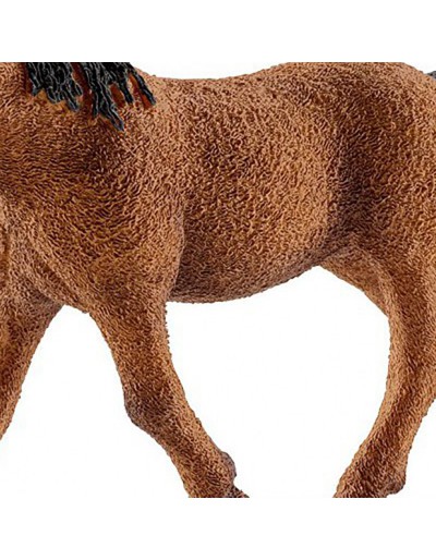 Bashkir curly mare schleich