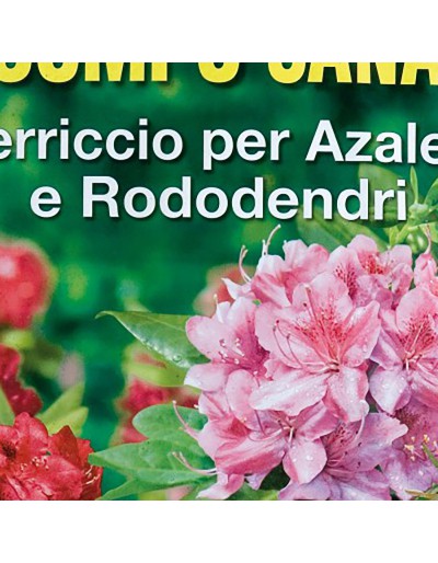 COMPO SANA AZALEE AND RHODODENDRI 20