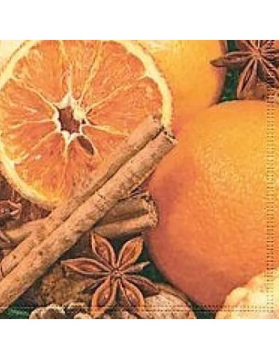 Temperos de guardanapo e laranjas