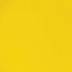 Płyta Excelsa Modne żółte tło