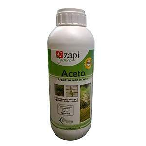 ZAPI CONCIS CONCENT 1lt