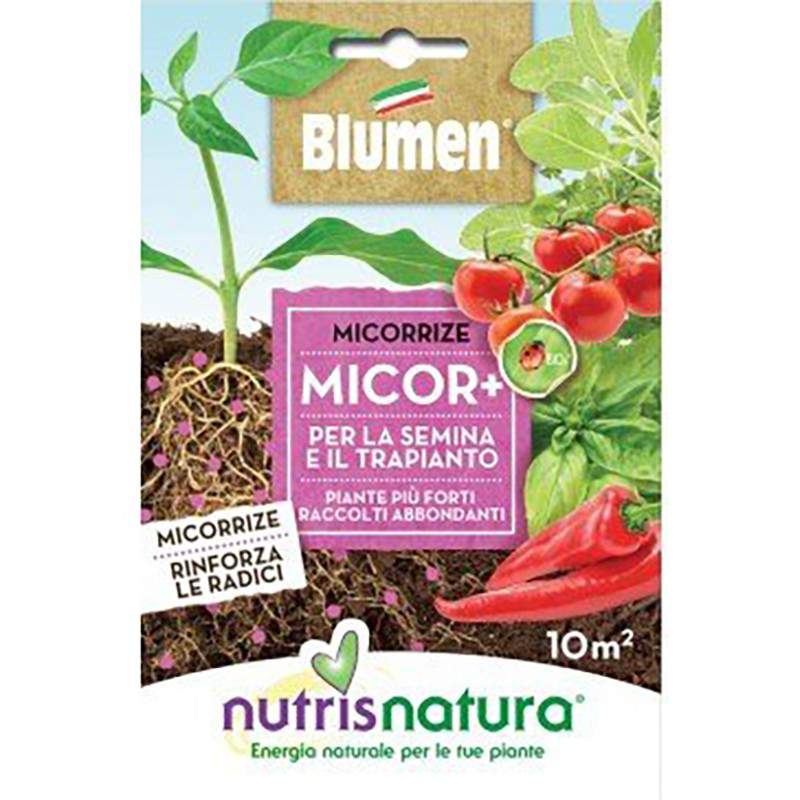 MICOR 40 g MICORRIZE