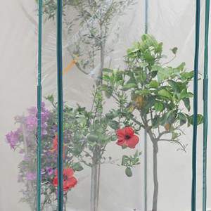 Buganville Greenhouse