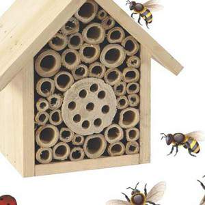 Insect house solitary bee insect box