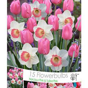 Różowa mieszanka tulipanów i narcyzów