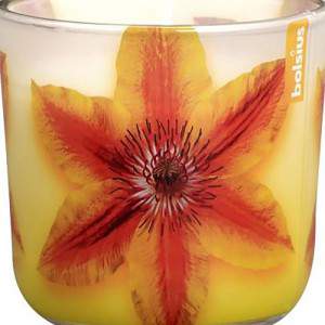 CANDLE "FLOWER" GLASS