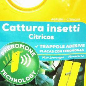 solabiol citrus inseto adesivo armadilhas 5 Pcs com feromônios
